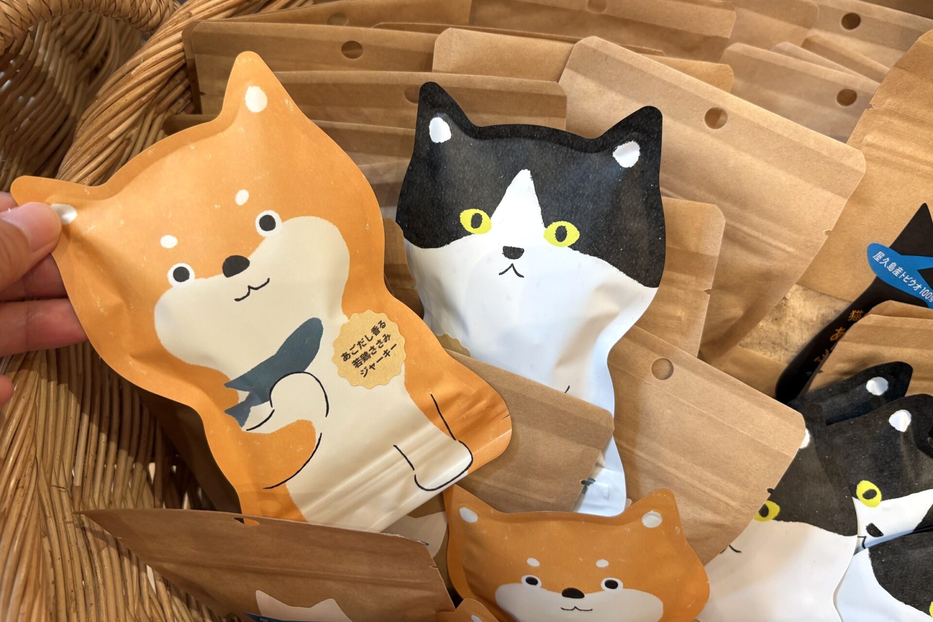 犬猫用フード